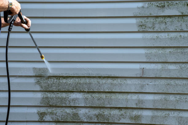 Best Same-Day Junk Removal Services  in Mount Vernon, KY