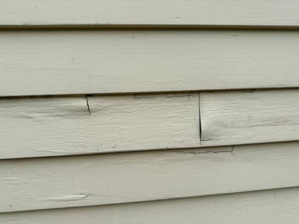 Best Foreclosure Cleanout  in Mount Vernon, KY